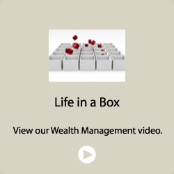 Life in a box video